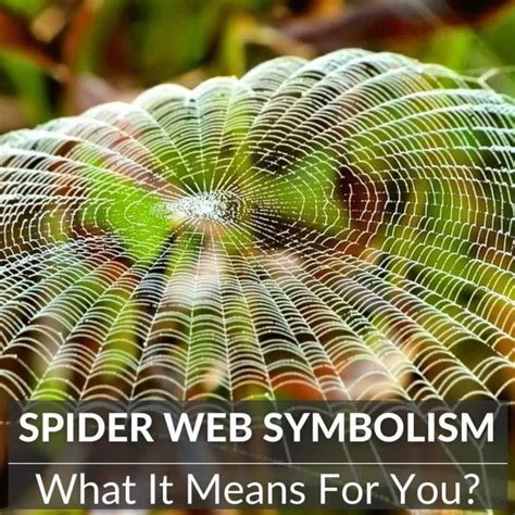 Spider webs: A source of inspiration for artists